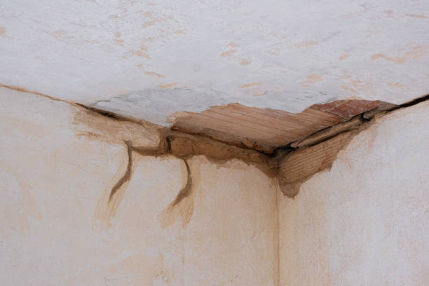 Trusted Water Damage Restoration in Cookson, OK | Fast, Reliable, and Ready to Assist You